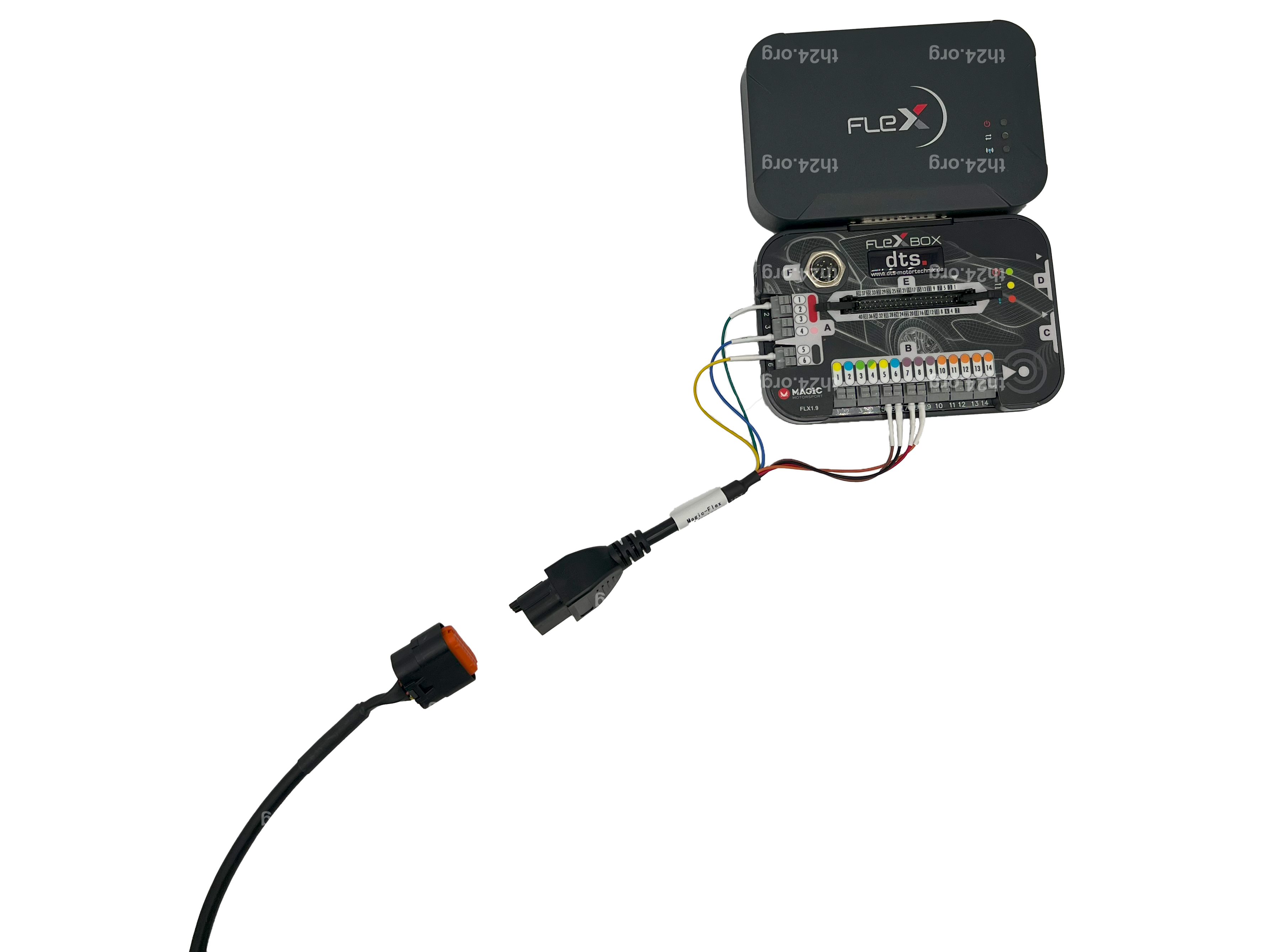 Adapter Magicmotorsport FLEX - Dimsport Trasdata EGPT